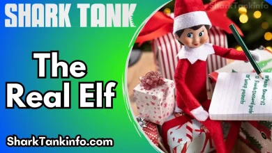 The Real Elf Net Worth